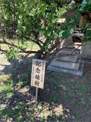 明石天満宮（休天神社）の参拝記録(おおくすさん)