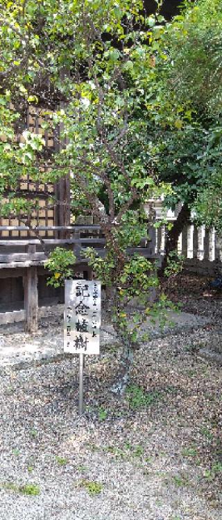 明石天満宮（休天神社）の参拝記録(金太郎さん)