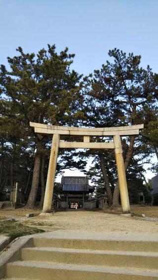 住吉神社の参拝記録(りかぶーさん)