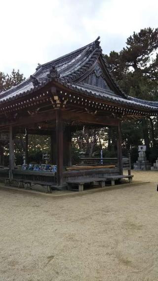 住吉神社の参拝記録(りかぶーさん)