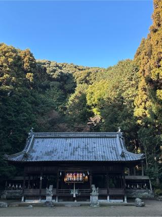 小坂春日神社の参拝記録(さるとび園長さん)
