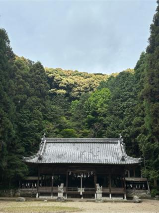 小坂春日神社の参拝記録(さるとび園長さん)