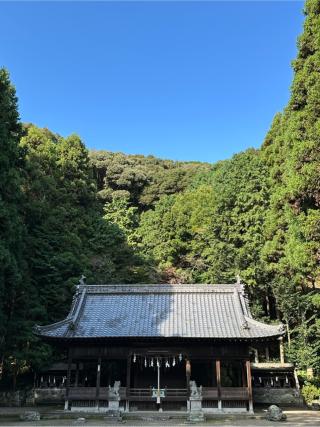 小坂春日神社の参拝記録(さるとび園長さん)