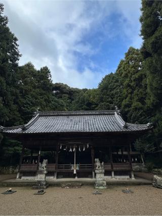 小坂春日神社の参拝記録(さるとび園長さん)