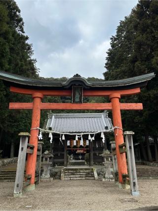小坂春日神社の参拝記録(さるとび園長さん)