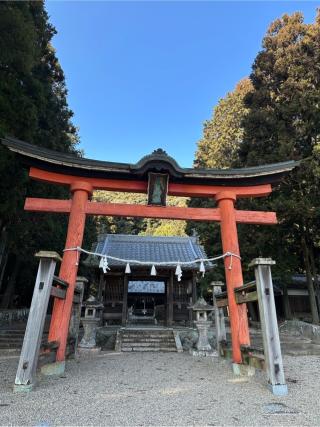 小坂春日神社の参拝記録(さるとび園長さん)