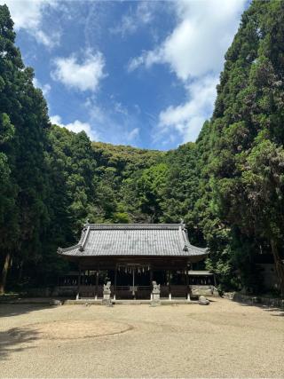 小坂春日神社の参拝記録(さるとび園長さん)
