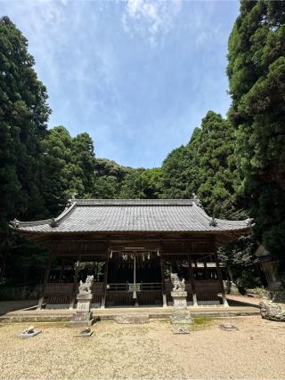 小坂春日神社の参拝記録(さるとび園長さん)