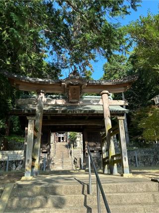 春日神社の参拝記録(さるとび園長さん)