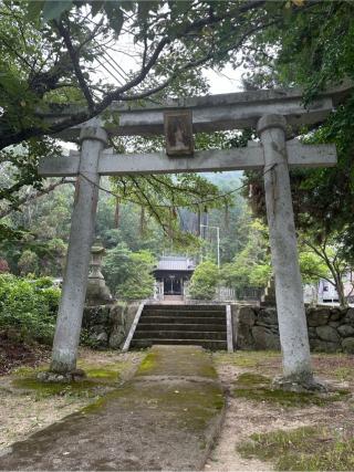 金比羅神社の参拝記録(さるとび園長さん)