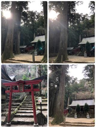 青玉神社の参拝記録(まさみさん)