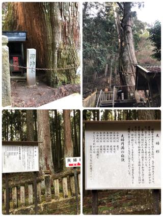 青玉神社の参拝記録(まさみさん)