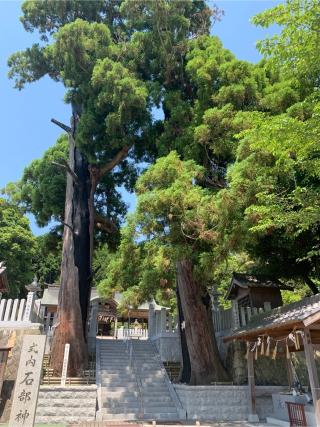 石部神社の参拝記録(おおくすさん)