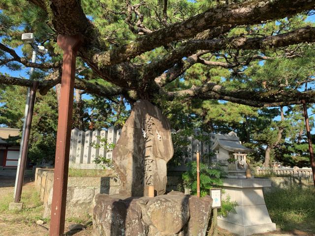 兵庫県加古川市尾上町口里770 浜宮天神社の写真5