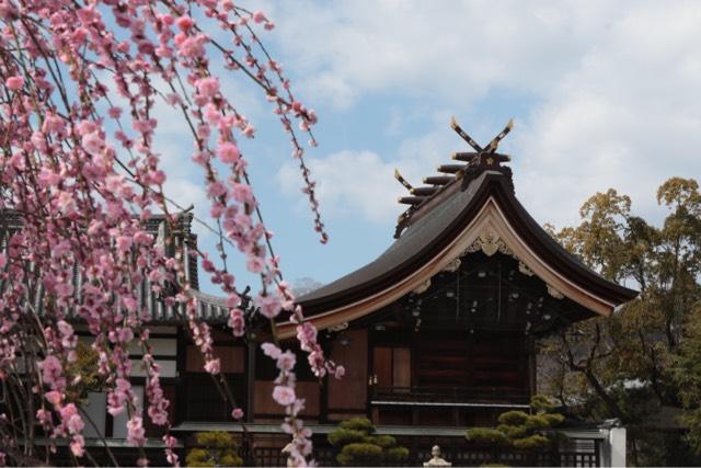 兵庫県高砂市曽根町2286-1 曽根天満宮の写真5