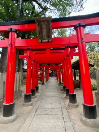 曽根天満宮の参拝記録(さくらさん)