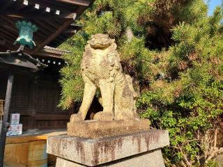 姫路神社の参拝記録(飛成さん)