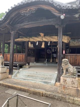 荒川神社の参拝記録(おおくすさん)