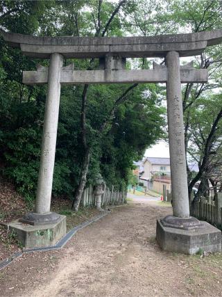 荒川神社の参拝記録(おおくすさん)