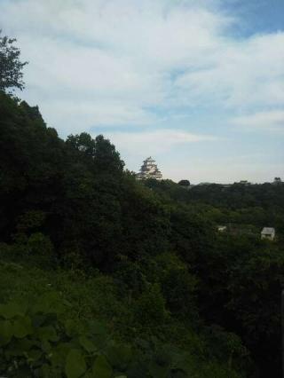 八幡社（男山八幡宮）の参拝記録(ヒロたんさん)