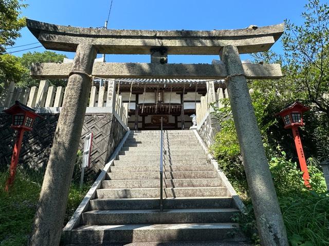 兵庫県姫路市山野井町164 八幡社（男山八幡宮）の写真4