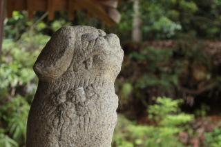 竃神社の参拝記録(アンちゃんさん)