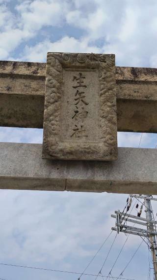 行矢射楯兵主神社の参拝記録(ちょちょちょさん)