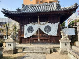 お菊神社（十二所神社末社）の参拝記録(飛成さん)