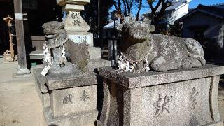 津田天満神社の参拝記録(はじめさん)