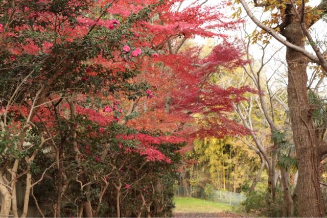 兵庫県姫路市四郷町中鈴182 天満神社の写真2