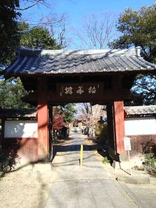 平田山清善寺の参拝記録(グリーン金吉さん)