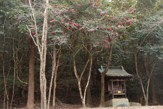 兵庫県姫路市四郷町坂元346 八幡神社の写真1