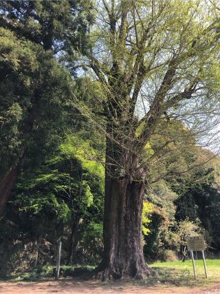 櫃蔵神社の参拝記録(soraさん)