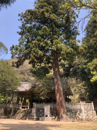櫃蔵神社の参拝記録(soraさん)