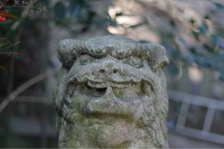 山川神社の参拝記録(アンちゃんさん)