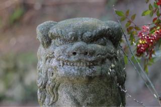 山川神社の参拝記録(アンちゃんさん)