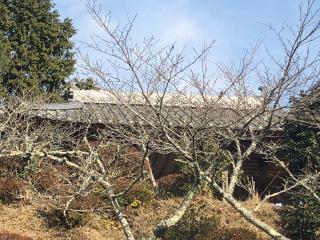 塩谷神社の参拝記録(かけふ３１さん)