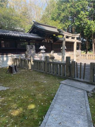 夜比良神社の参拝記録(おおくすさん)
