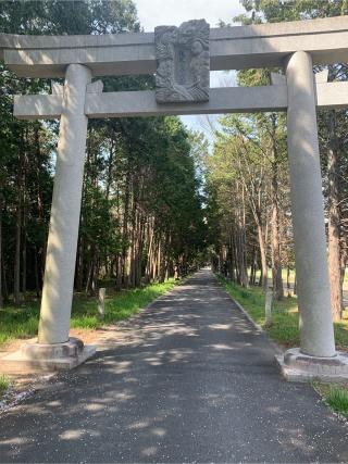夜比良神社の参拝記録(おおくすさん)