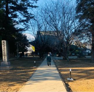 天照山 良忠院 勝願寺の参拝記録(しえるさん)