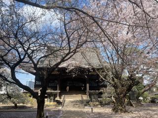 天照山 良忠院 勝願寺の参拝記録(ぶーさん)