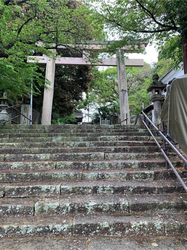 賀茂神社の参拝記録9