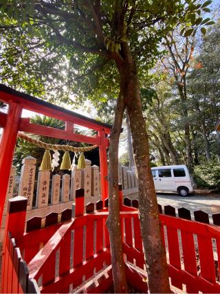 賀茂神社の参拝記録(さくらさん)