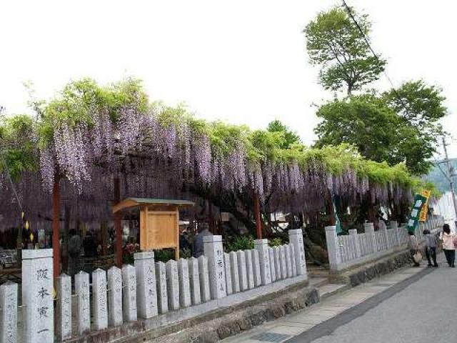 大歳神社の参拝記録5