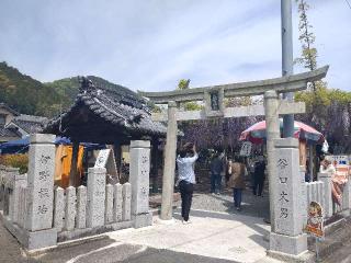 大歳神社の参拝記録(亜子さん)
