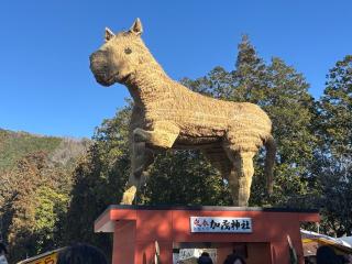 安志加茂神社の参拝記録(アップルベアさん)