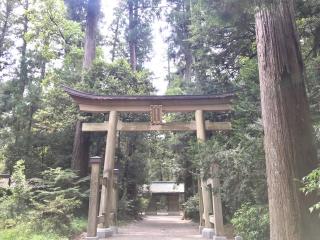 伊和神社の参拝記録(じゃすてぃさん)