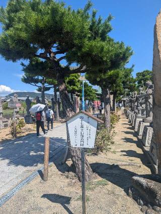 赤穂大石神社の参拝記録(しゅうさん)