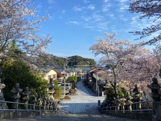 大避神社の参拝記録(よしとさん)