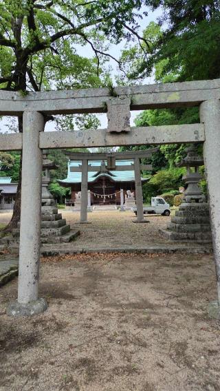 大避神社の参拝記録(ちょちょちょさん)